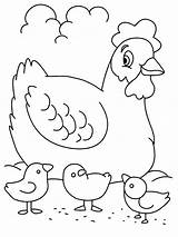 Mewarnai Belajar Paud Hewan Sketsa Ayam Naga Menggambar Sd Membaca Tatouage Binatang Chickens Coloringfolder sketch template