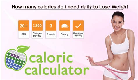 calories   eat  day  lose weight