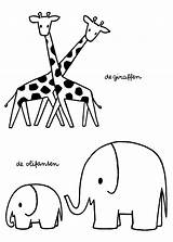 Giraffen Kleurplaat Olifanten Dierentuin Peuters Dieren Tekening Paradijs Bruna Peuter Nijntje Giraf Silhouet Uitprinten Downloaden Baby sketch template