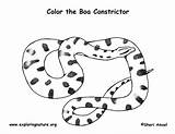 Anaconda Coloring Labeling Exploringnature sketch template