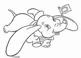 Dumbo Elephant Coloring Pages Flying Choose Board Drawing sketch template