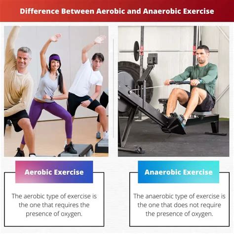aerobic  anaerobic exercise difference  comparison