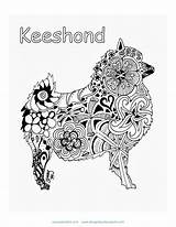 Activity Dog Keeshond Coloring Choose Board Door Sheets Pet sketch template