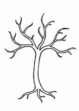 Baum Malvorlage Ausdrucken sketch template