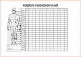 Printable Tracker Workout Measurement Chart Body Measurements Fitness Weight Template Women Charts Health Loss Female Excel Diagram Herbalife Xltemplates sketch template