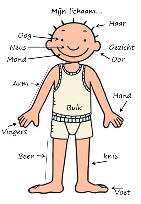 het lichaam van jules mijn lichaam original  juf wendy teaching kids kids learning dutch