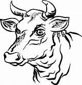 Toros Toro Stieren Stiere Coloriages Taureau Malvorlagen Taureaux Kleurplaat Animaatjes Malvorlage Vacas Chachipedia Par sketch template