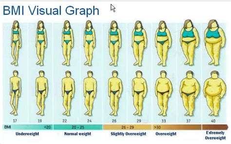 Height Weight Charts And Bmi Wellness And Preventative Care