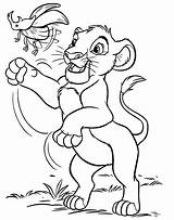 Lion King Coloring Pages Kovu Getcolorings Tech High sketch template