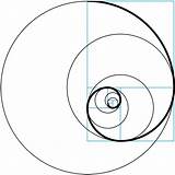 Fibonacci Aurea Espiral Fractal Mandaly Geometrie Wikispaces Geometría Muse Curve Kreslení Proportion sketch template