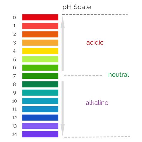 escala de ph vertical  medir el equilibrio alcalino acido ensayo de valor quimico