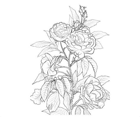 rose coloring pages  ai