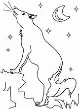 Coyote Kojote Cocomelon Malvorlagen Cool2bkids Creeper Kleurplaat sketch template