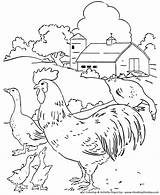 Coloring Farm Pages Life Barn Scene Scenes Chickens Geese Yard Kids Honkingdonkey Sheet sketch template