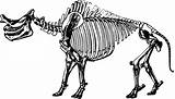 Bones Dinosaur Skeleton Fossil Clipart Svg Bone Vector Cucumber Meat Pixabay Loss Weight Transparent Extinct Domain Public Svgsilh sketch template