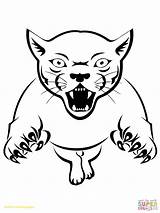 Panther Coloring Pages Drawing Baby Panthers Bears Chicago Color Attacking Carolina Printable Logo Outline Florida Animal Face Cute Puma Getdrawings sketch template