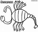 Scorpion Coloring Pages Color Tail Drawing Getdrawings sketch template