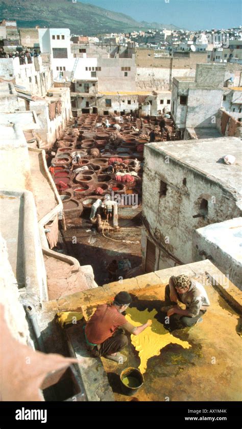 tanners dying goat skin  terraces   ancient dying vats  chouwara tannery
