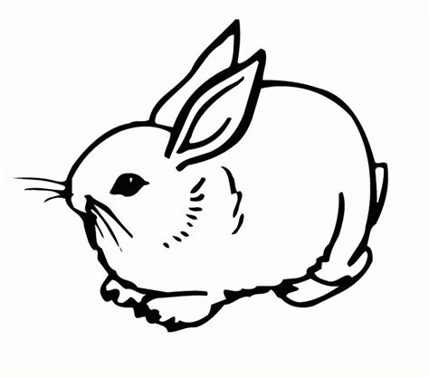 baby bunny coloring page coloring home