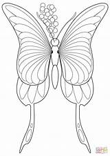Coloring Pages Butterfly Public sketch template