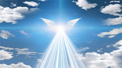 6 signs you re an earth angel conscious life news