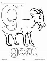 Coloring Pages Alphabet Letter Printable Animal Color Kids Versions Worksheets Preschool Quiver Letters Abc Goat Print Sheets Lowercase Lower Getcolorings sketch template