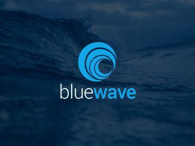 blue waves spa beauty salon franchise opportunity