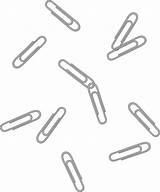 Clips Paper Clip Clipart Scattered Silver Colorful Transparent Office Cum Tits Clipe Paperclips Strewn Cliparts Sprinkles Webstockreview Sweetclipart Rainbow Clipground sketch template