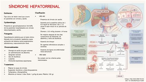 Síndrome Hepatorrenal Medical And Gabeents