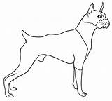 Dog Boxer Coloring Pages Hearing Sound Color sketch template