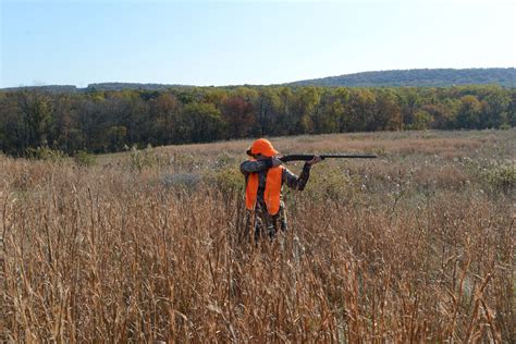 pa game commission backs sunday hunting license fee legislation