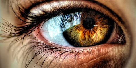 eye color reveals information   personality human  health