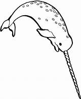 Narwhal Drawing Coloring Pages Line Whales Narwhals Drawings Whale Google Print Cute Clipart Search Ancient Horns Sheet Popular Visit Info sketch template