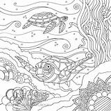 Coloring Mindful Turtles Catris Anastasia Ups Underwater sketch template
