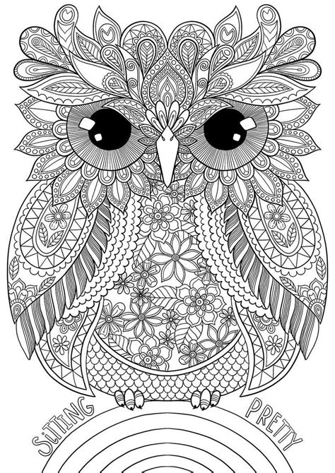 pin  coloring books  adults