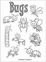 Coloring Bugs Pages Kids Bug Insects Colouring Printable Little Easy Insect Preschool Kindergarten Template Sheets Sheet Preschoolers Printables Book Summer sketch template