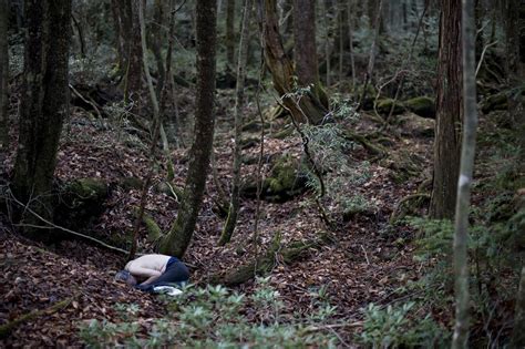 inside japan s suicide forest the japan times