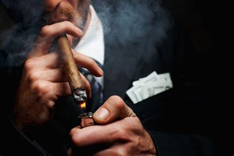 cigars   maxim
