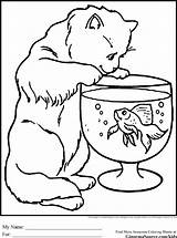Coloring Pages Elderly Cat Animals Printable Color Ginormasource Adult Kids Print Getdrawings Getcolorings Chọn Bảng Found sketch template