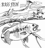 Coloring Bass Fish Hungry Fishing Button Through sketch template