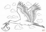 Storch Stork Bocian Ooievaar Kleurplaat Kolorowanka Maguari Dzieckiem Draw Supercoloring Storks Malvorlagen Druku Designlooter Kategorii Kategorien sketch template