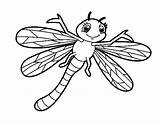 Dragonfly Fly Dragonflies Getcolorings Getdrawings sketch template
