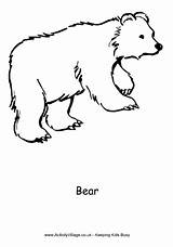 Bear Colouring Cub Coloring Pages Village Activity Simple Activityvillage Animal Explore sketch template