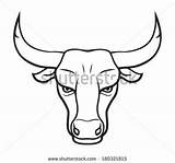 Bull Stierkopf Bulls Taurus Stier Skull Kuh Gesicht Xyz Rinder sketch template