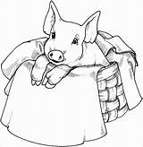 Pig Coloring Pages Baby Coloringbay sketch template