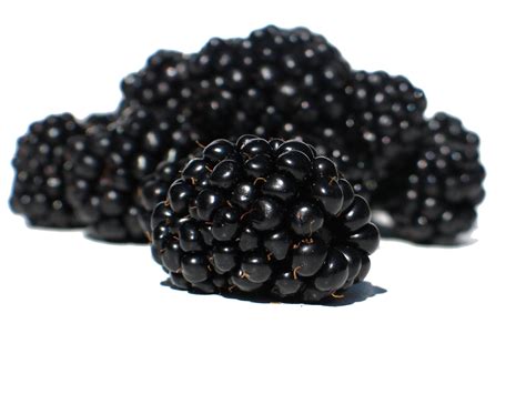 blackberry fruit png hq png image freepngimg