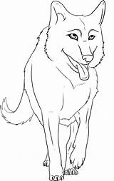 Wolf Lup Colorat Desene Planse Lupi Poze Wolves Animale Plansedecolorat Educative sketch template