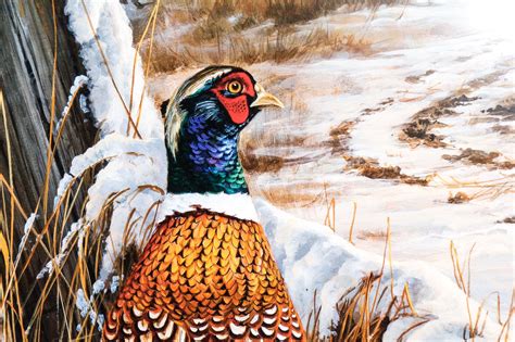 rosemary millette artist proof forgotten fenceline pheasants ebth