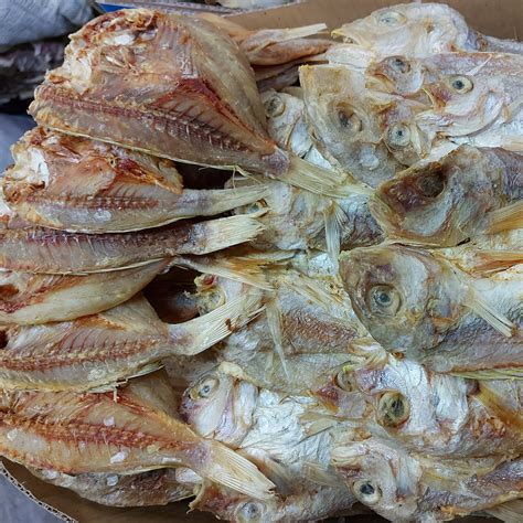 dried fish bisugo order pricegrams farmmetro