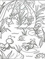Ete Ausmalbild Ausmalen Seerosen Malvorlagen Ant Ausmalen2000 Estate Ameisen Ameisenhaufen Insetto Divertente Imprime Lustige Ants Carnaval Bricolage Colouring Ameise sketch template